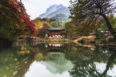 Reflection of trees and buildings in lake