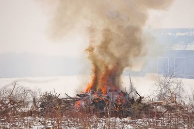 Controlled burn on a farm property to create more arable land