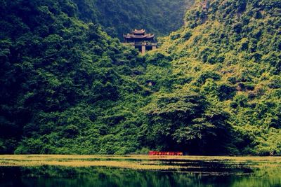 Scenic view of lake with trees in background