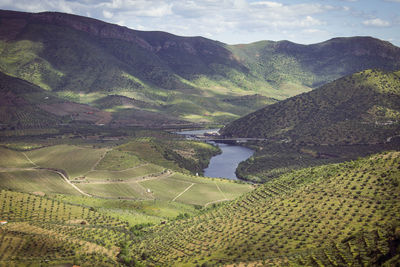 Scenic view of agricultural landscape against sky