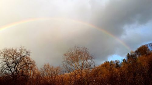 Low angle view of rainbow against sky