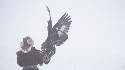 Rear view of man with eagle during winter