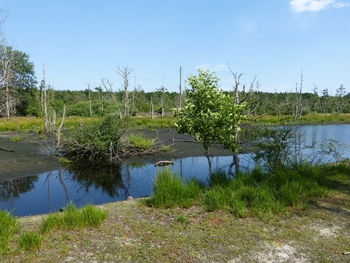 Scenic view of lake against sky