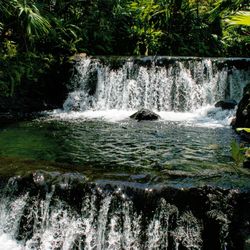 Scenic view of waterfall in forest