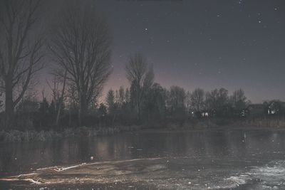 Bare trees against sky at night