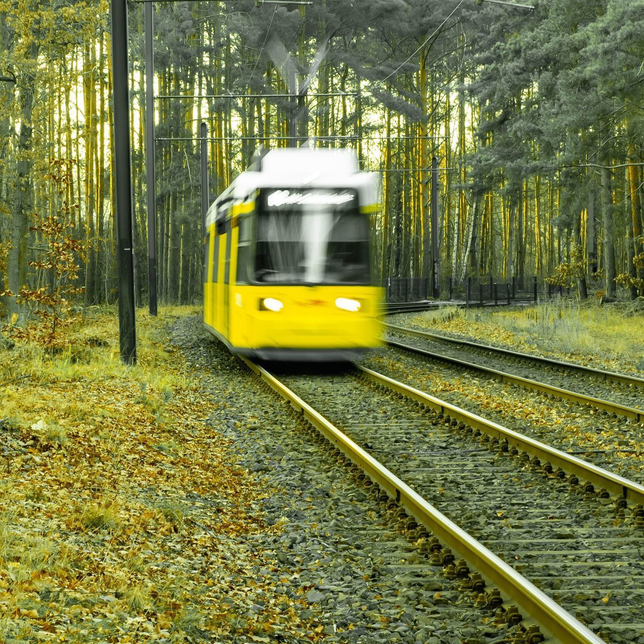 YELLOW TRAIN ON RAILROAD TRACKS