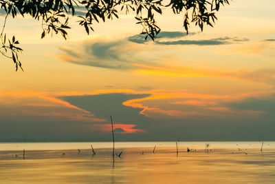 View of the beautiful sunset ambience by the beach in bangkalan, madura