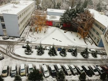 High angle view of trees