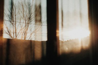 Close-up of bare tree seen through glass window