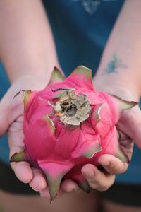 Close-up of hand holding pink flower