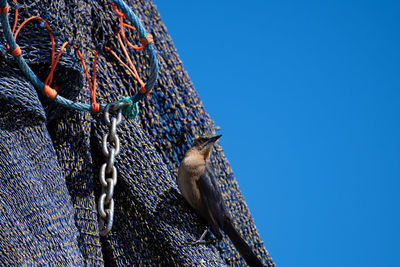 Low angle view of fishing net against clear blue sky
