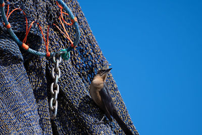 Low angle view of fishing net against clear blue sky