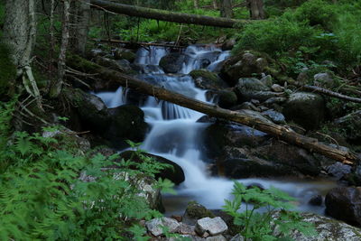 Stream flowing through rocks in forest