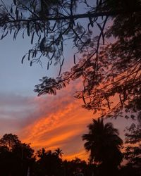 Low angle view of silhouette trees against dramatic sky