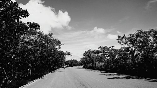 Empty road along trees