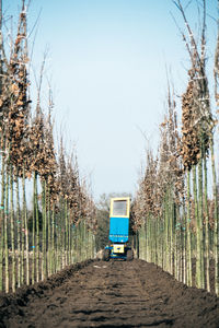 Road amidst trees against clear sky