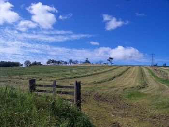 Scenic view of agricultural field against sky