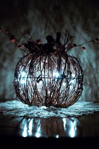 Close-up of illuminated christmas lights