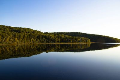 Reflection of trees in calm lake