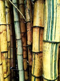 Full frame shot of bamboo