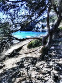 Scenic view of beach