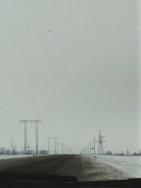 View of tree against clear sky