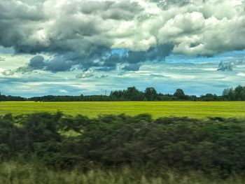 Scenic view of field against sky