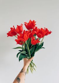 Cropped hand of woman holding tulips