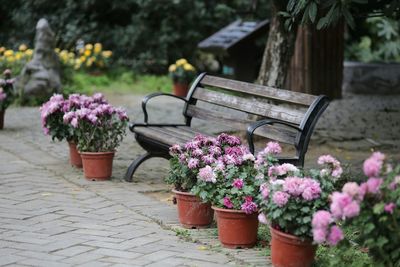 Potted plants on bench in park