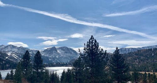 Panoramic view of trees and mountain against cloudy sky