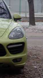 Close-up of car on tree