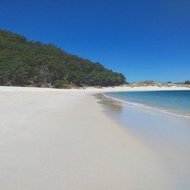 clear sky, water, blue, sea, beach, copy space, tranquil scene, tranquility, sand, scenics, beauty in nature, shore, tree, nature, coastline, horizon over water, idyllic, day, sunlight, outdoors