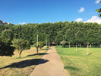 Trees on field against blue sky