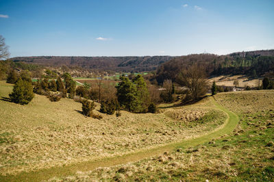 landscape