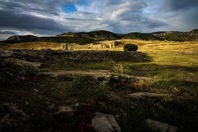 Scenic view of landscape against sky