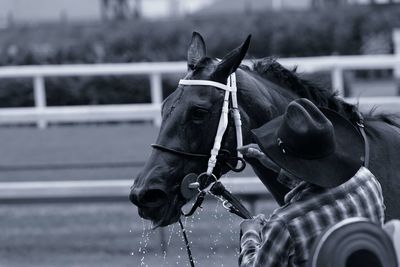 Jockey with horse on field