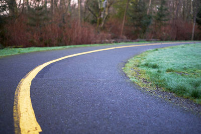 Surface level of road amidst trees