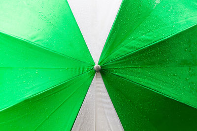 High angle view of wet leaf