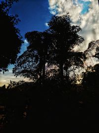 Low angle view of silhouette trees against sky