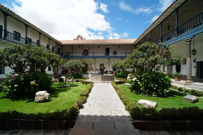 Trees and plants in garden against buildings in city