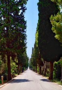 Empty road amidst trees against sky