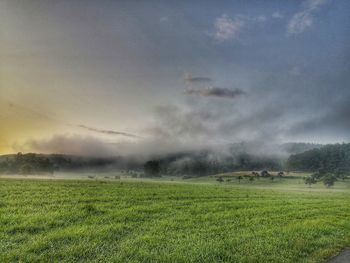 Scenic view of field against sky