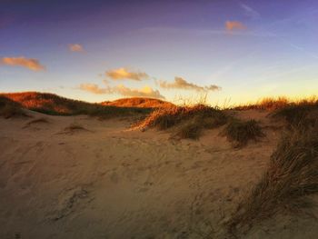 Scenic view of landscape at sunset