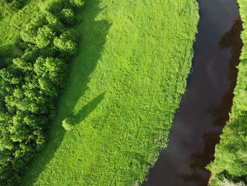 High angle view of green land