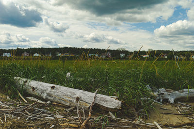 Scenic view of field against sky