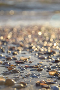 Full frame shot of wet beach