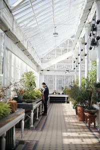 Side view of man working in greenhouse