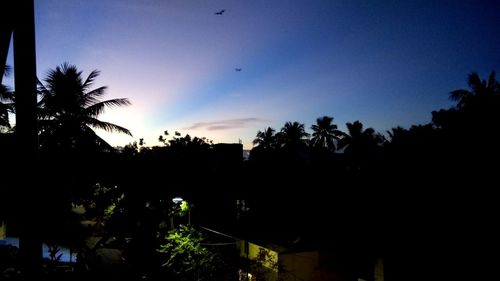 Silhouette trees against clear sky during sunset