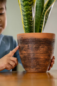 Midsection of woman holding potted plant