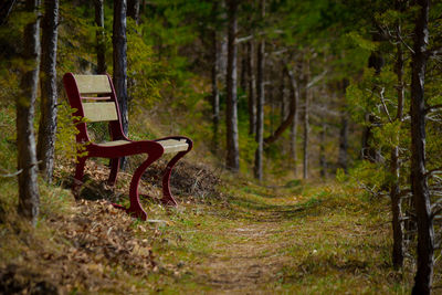 Empty bench in forest